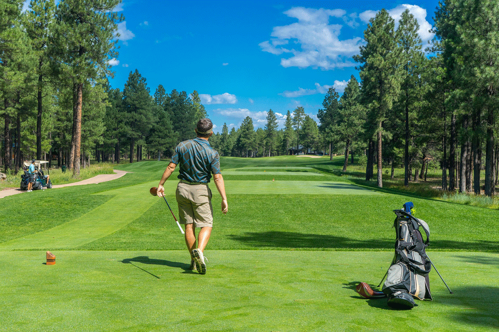 palo driver de golf desde el tee